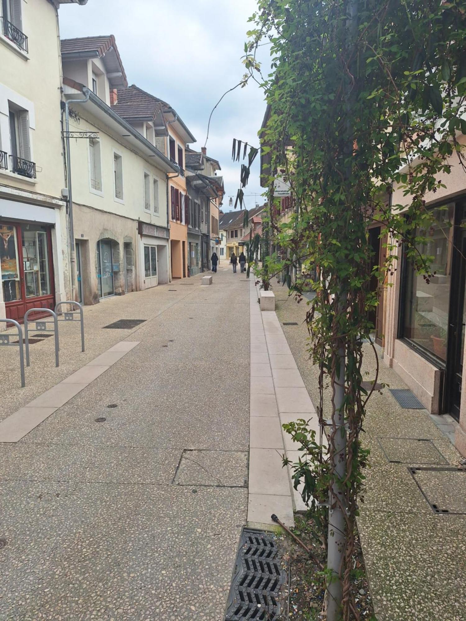 Chez Eric - L'Atypique Apartment Rumilly  Bagian luar foto