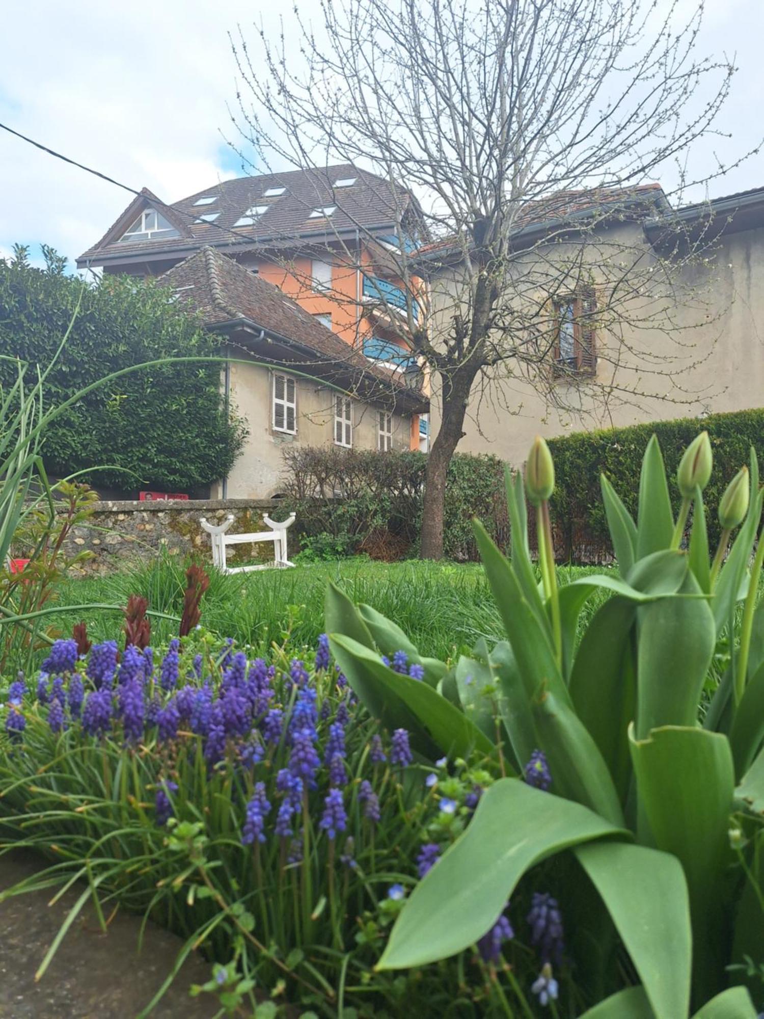 Chez Eric - L'Atypique Apartment Rumilly  Bagian luar foto